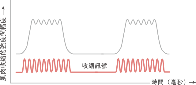 BTL EMSELLA™ chart